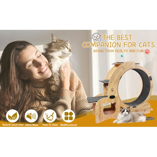 Cat Wheel 6 - in - 1 Cat Fitness Wheel - 5 - CJ