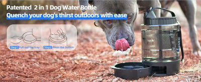 Lassot Portable Pull - out Water Bowl For Dogs, Large Capacity, Perfect For Camping, Hiking, Beach Trips, Road Trips, And Park Walks. - 5 - CJ