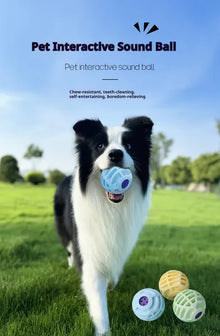 Pet Interactive Sound Ball,The Mellow Dog Cat Pet Voice Ball,Interactive Pet Squeaky Toys - 5 - CJ