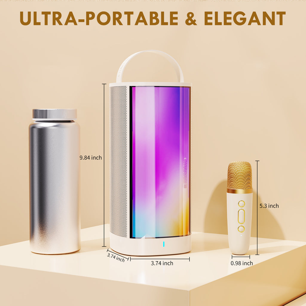 JYX D31-T Karaoke Machine With 2 Wireless Microphones For Adults And Kids