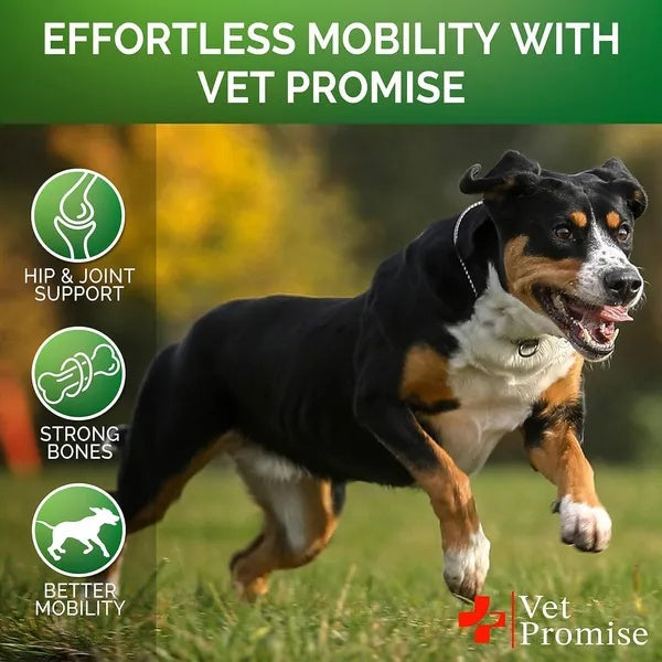 Glucosamine For Dogs 2 Pack Hip And Joint Supplement With Chondroitin 240 Chews - 5 - CJ
