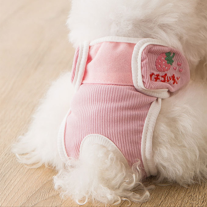 Sanitary Napkin Pet Menstrual Aunt Pants - 0 - CJ - Zhizhi berry - XXL - CJGD137077218RI