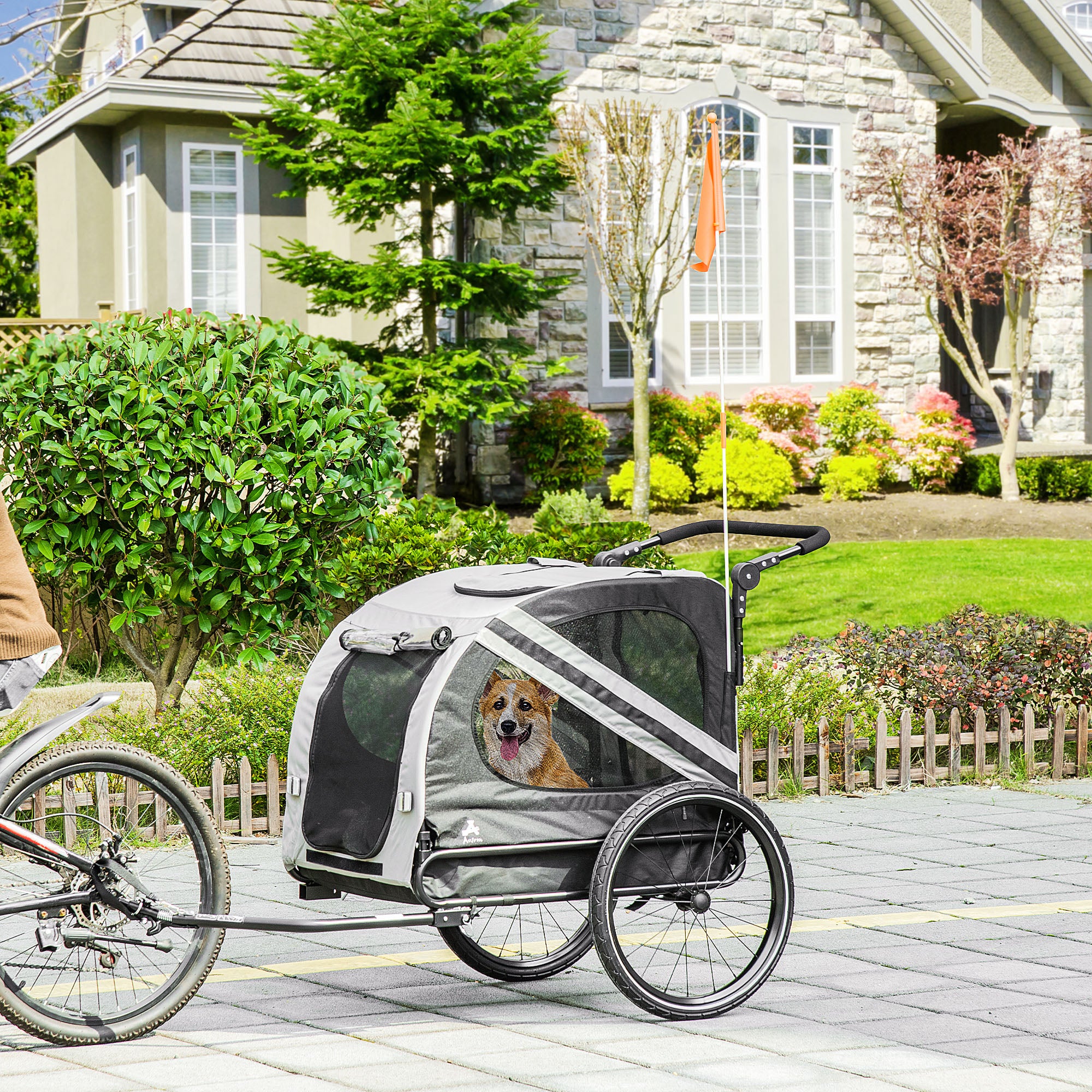 2 - in - 1 Pet Bike Trailer for Small Dogs - 5 - CJ