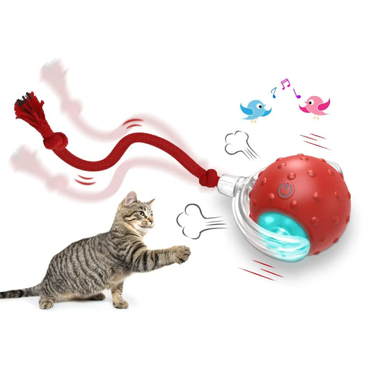Interactive Cat Toy Ball Super Drive Cat Rolling Ball - 0 - CJ