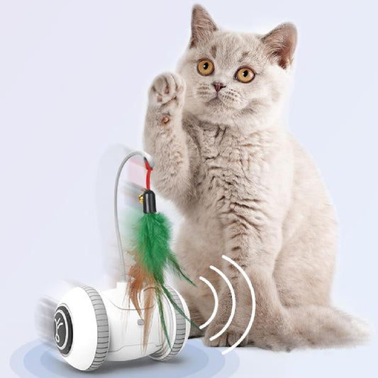Interactive Cat Toy With Interchangeable Heads  Pet Feather Toys - 0 - CJ