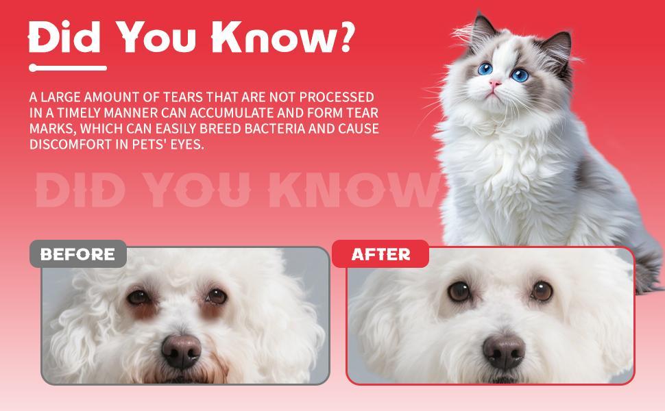 Pet Tear Stain Removal Powder - Natural And Gentle Formula, Eye And Fur Care, Tear Stain Removal And Brightening, An Essential Product For Pet Eye Cleaning. - 5 - CJ