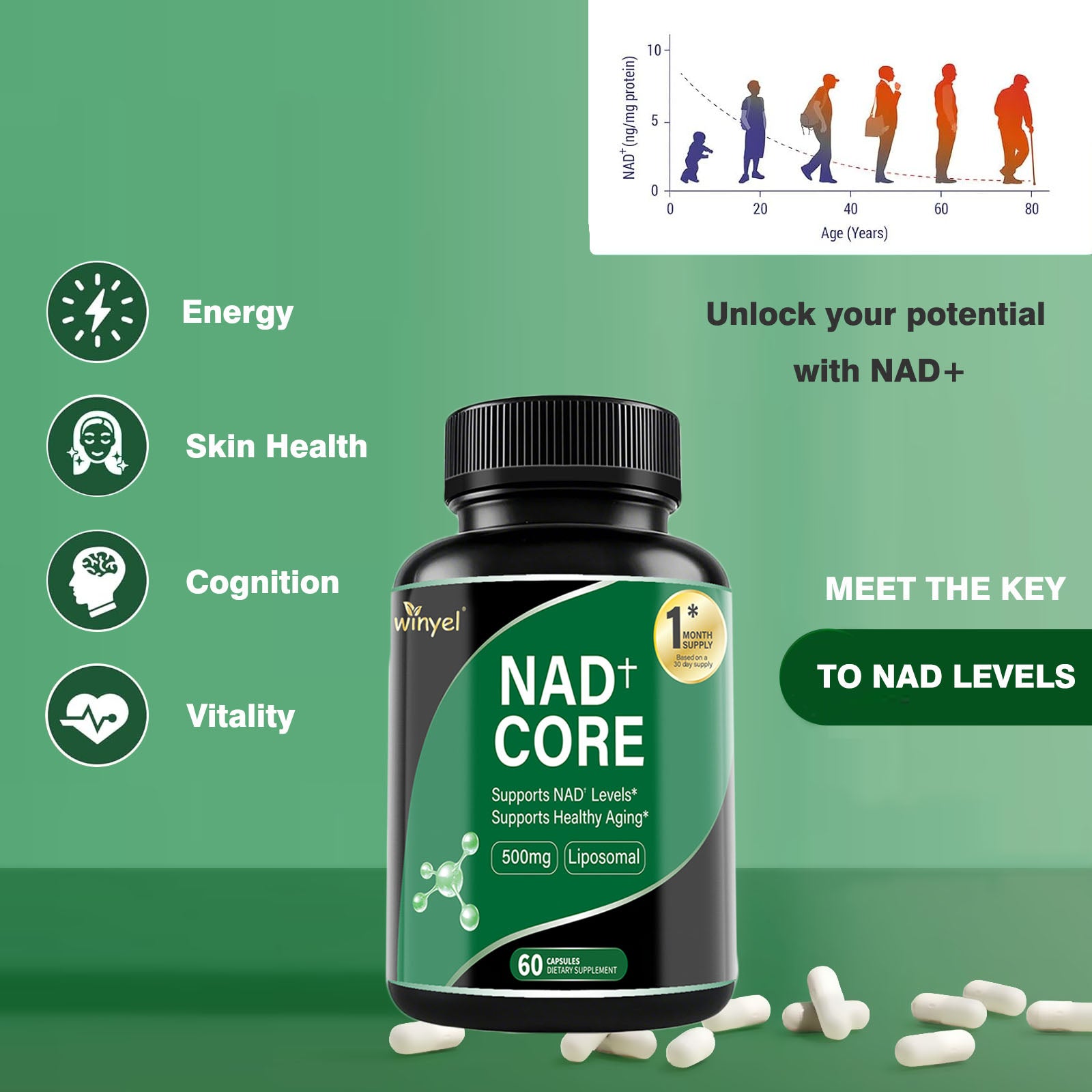 60 Capsules Of High - concentration Liposomal NAD Enhancer - Energy, Focus, And Healthy Aging, Containing Nicotinamide Riboside, Resveratrol, And Rutin - High - quality, High - purity Formula - 5 - CJ