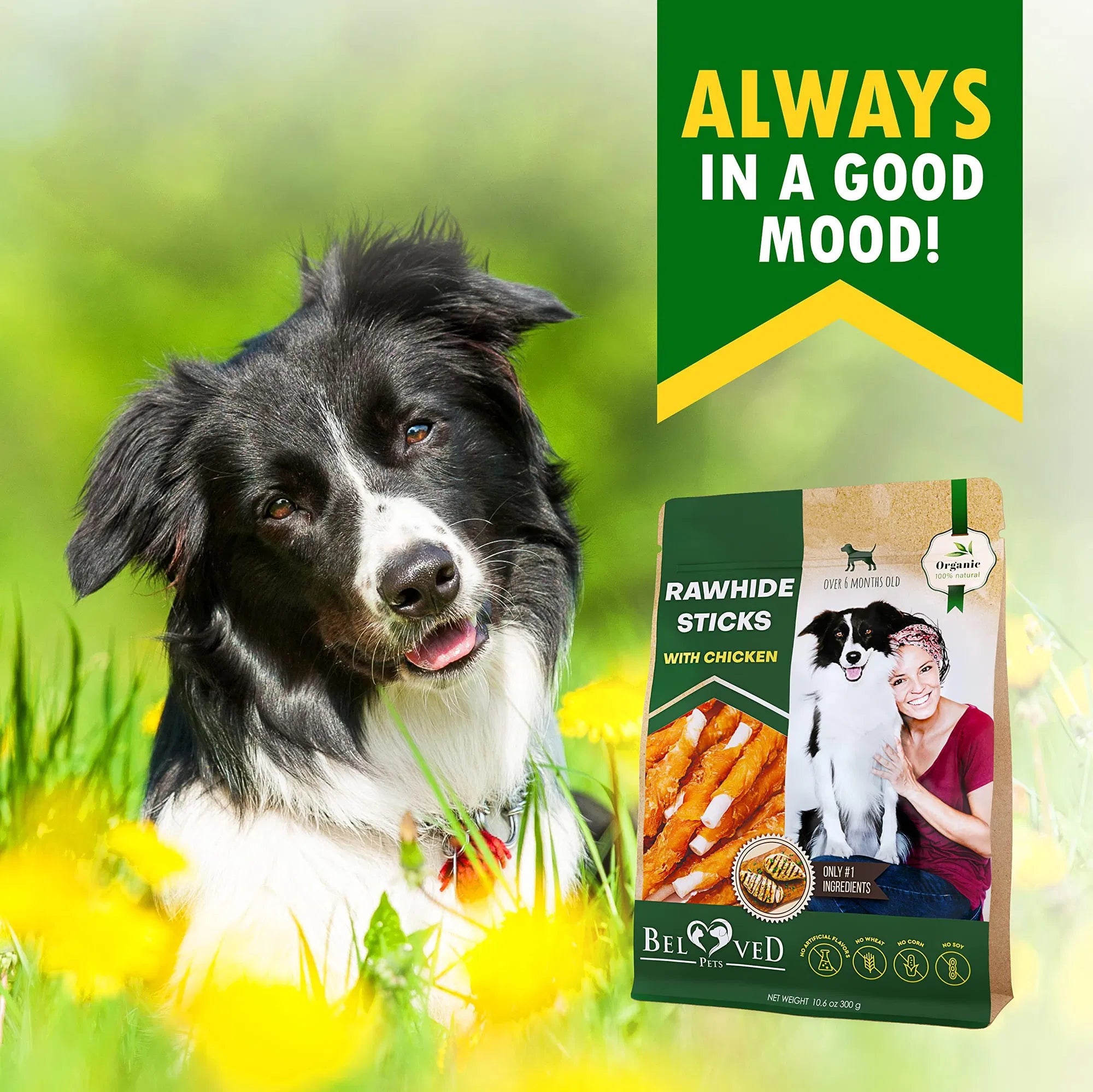 Dog Sticks Wrapped With Chicken & Pet Natural Chew Treats Grain Free Organic Meat & Human Grade Dried Snacks In Bulk For Training Small & Large Dogs - 5 - CJ