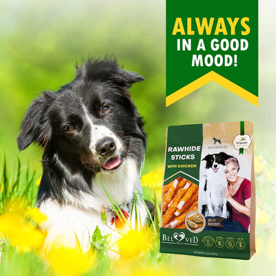 Dog Sticks Wrapped With Chicken & Pet Natural Chew Treats Grain Free Organic Meat & Human Grade Dried Snacks In Bulk For Training Small & Large Dogs - 5 - CJ