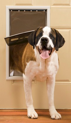 Pett Freedom Pet Door - Extra Large