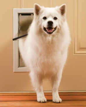Freedom Pet Door - Medium - PPA00-10860