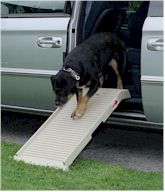 Half Step Dog Ramp